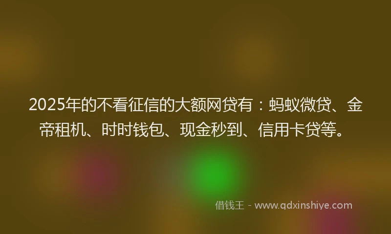 2025年的不看征信的大额网贷有：蚂蚁微贷、金帝租机、时时钱包、现金秒到、信用卡贷等。