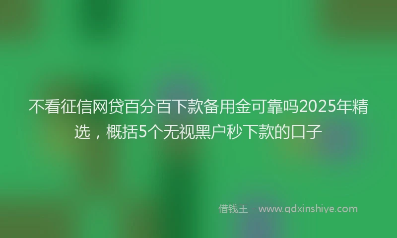 不看征信网贷百分百下款备用金可靠吗2025年精选，概括5个无视黑户秒下款的口子