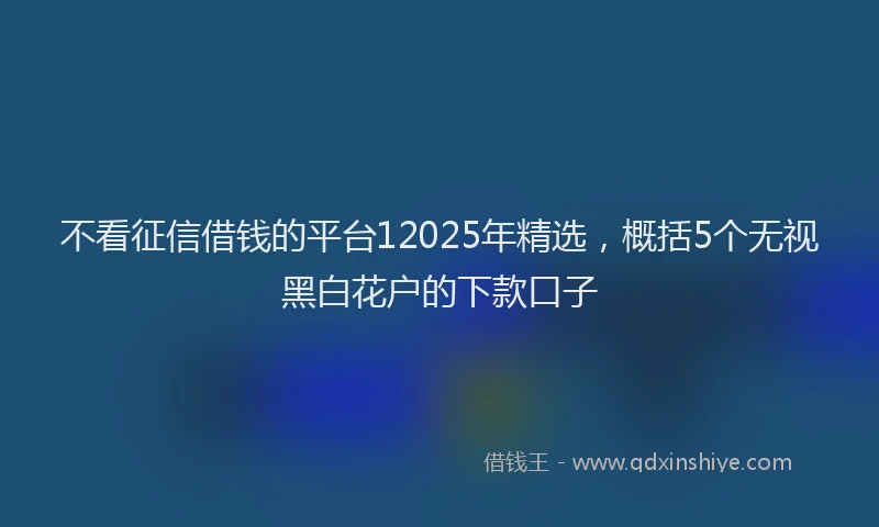 不看征信借钱的平台12025年精选，概括5个无视黑白花户的下款口子