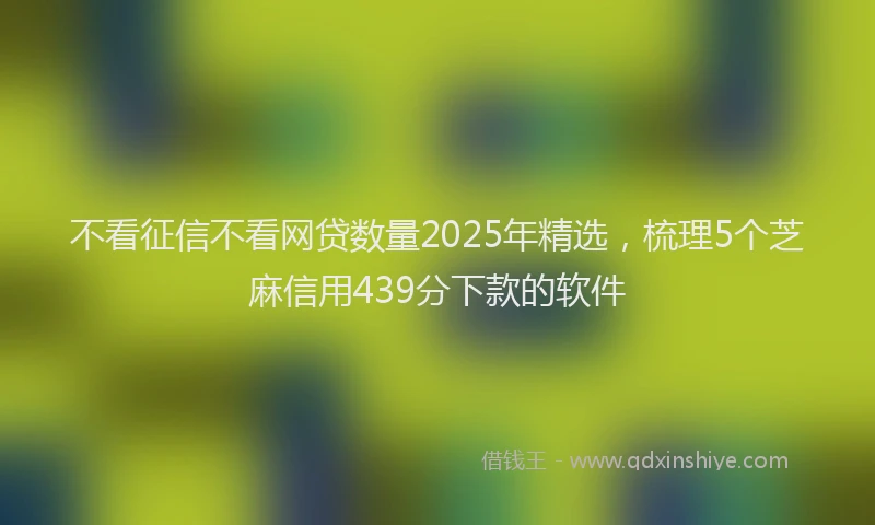 不看征信不看网贷数量2025年精选，梳理5个芝麻信用439分下款的软件