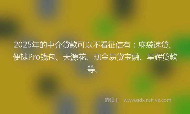 2025年的中介贷款可以不看征信有:麻袋速贷、便捷Pro钱包、天源花、现金易贷宝融、星辉贷款等。
