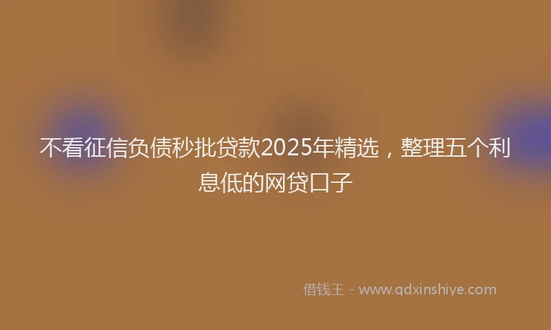 不看征信负债秒批贷款2025年精选，整理五个利息低的网贷口子