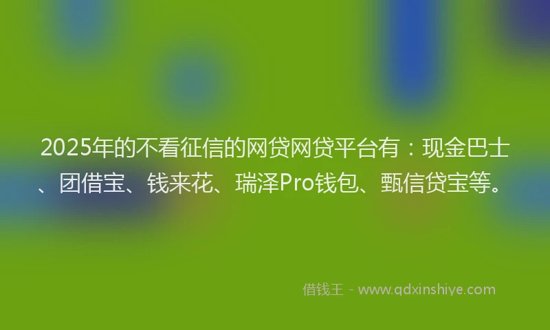 2025年的不看征信的网贷网贷平台有：现金巴士、团借宝、钱来花、瑞泽Pro钱包、甄信贷宝等。