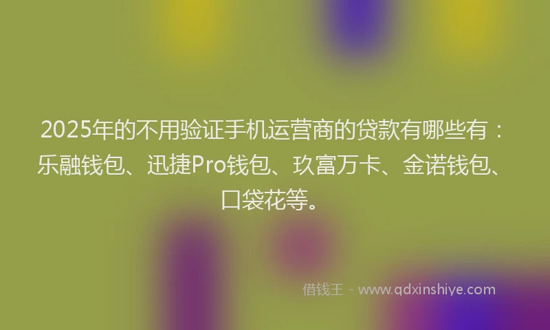 2025年的不用验证手机运营商的贷款有哪些有：乐融钱包、迅捷Pro钱包、玖富万卡、金诺钱包、口袋花等。