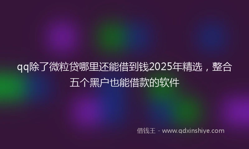 qq除了微粒贷哪里还能借到钱2025年精选，整合五个黑户也能借款的软件
