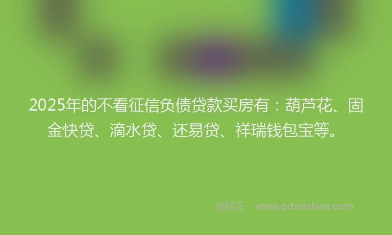 2025年的不看征信负债贷款买房有：葫芦花、固金快贷、滴水贷、还易贷、祥瑞钱包宝等。