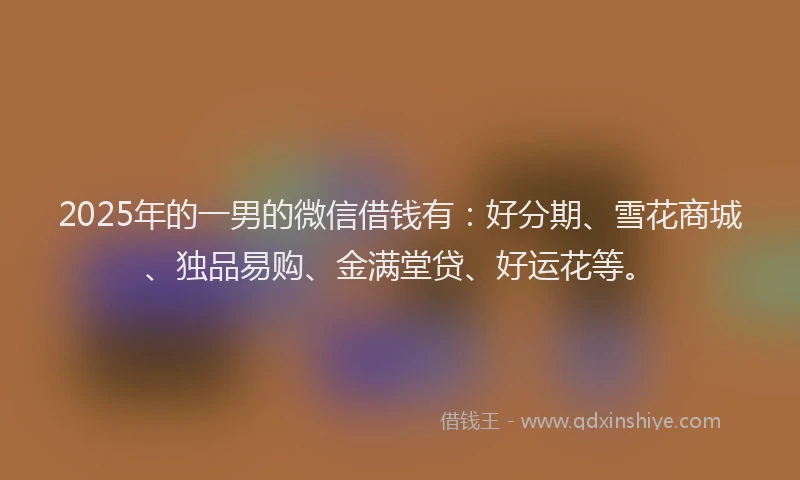 2025年的一男的微信借钱有：好分期、雪花商城、独品易购、金满堂贷、好运花等。