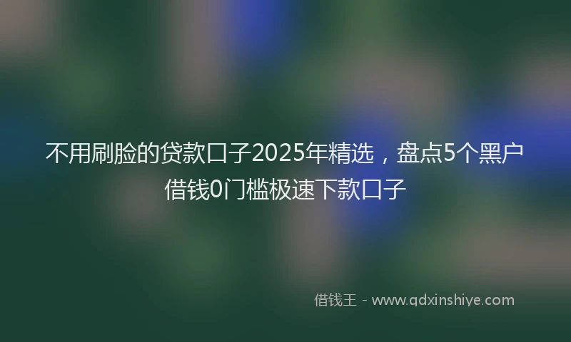 不用刷脸的贷款口子2025年精选，盘点5个黑户借钱0门槛极速下款口子