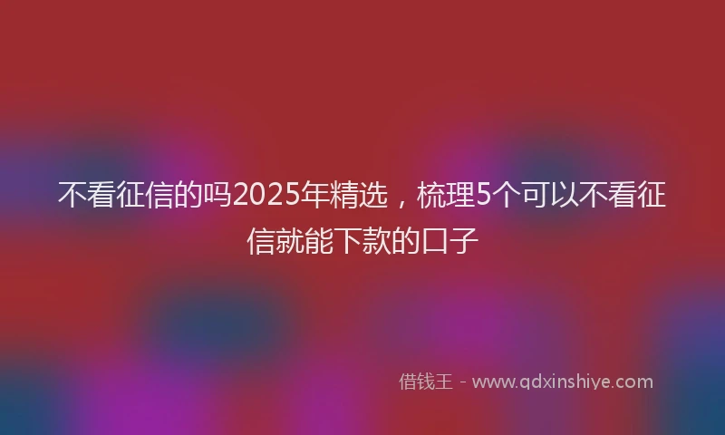 不看征信的吗2025年精选，梳理5个可以不看征信就能下款的口子