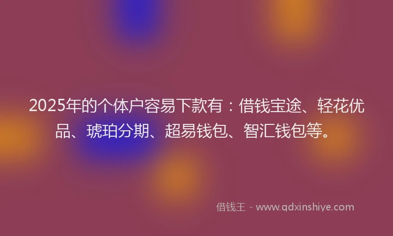 2025年的个体户容易下款有：借钱宝途、轻花优品、琥珀分期、超易钱包、智汇钱包等。