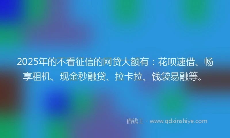 2025年的不看征信的网贷大额有：花呗速借、畅享租机、现金秒融贷、拉卡拉、钱袋易融等。