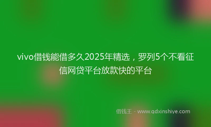 vivo借钱能借多久2025年精选，罗列5个不看征信网贷平台放款快的平台