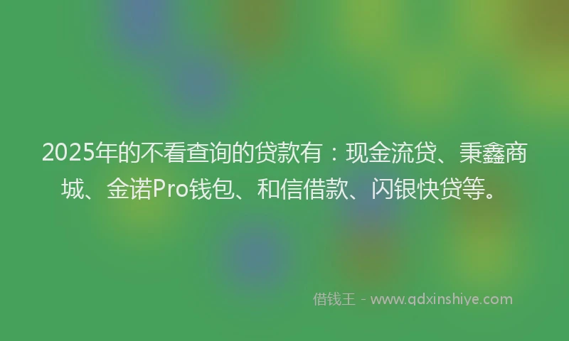 2025年的不看查询的贷款有：现金流贷、秉鑫商城、金诺Pro钱包、和信借款、闪银快贷等。
