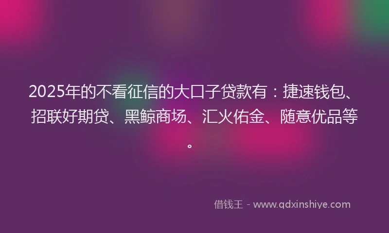 2025年的不看征信的大口子贷款有：捷速钱包、招联好期贷、黑鲸商场、汇火佑金、随意优品等。