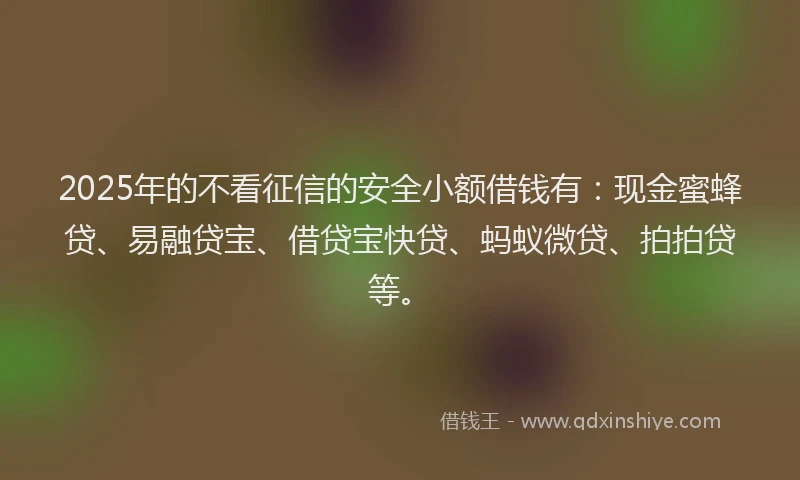 2025年的不看征信的安全小额借钱有：现金蜜蜂贷、易融贷宝、借贷宝快贷、蚂蚁微贷、拍拍贷等。