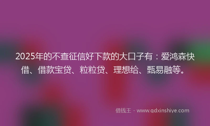 2025年的不查征信好下款的大口子有：爱鸿森快借、借款宝贷、粒粒贷、理想给、甄易融等。
