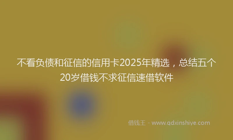 不看负债和征信的信用卡2025年精选，总结五个20岁借钱不求征信速借软件
