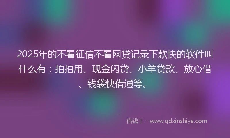 2025年的不看征信不看网贷记录下款快的软件叫什么有：拍拍用、现金闪贷、小羊贷款、放心借、钱袋快借通等。