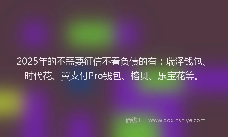2025年的不需要征信不看负债的有：瑞泽钱包、时代花、翼支付Pro钱包、榕贝、乐宝花等。