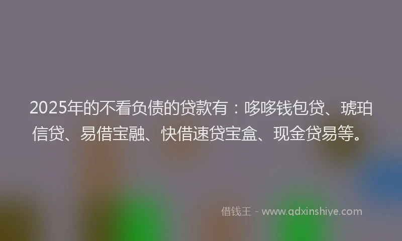 2025年的不看负债的贷款有：哆哆钱包贷、琥珀信贷、易借宝融、快借速贷宝盒、现金贷易等。