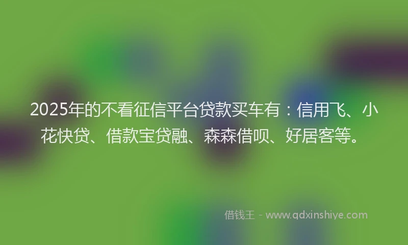 2025年的不看征信平台贷款买车有：信用飞、小花快贷、借款宝贷融、森森借呗、好居客等。
