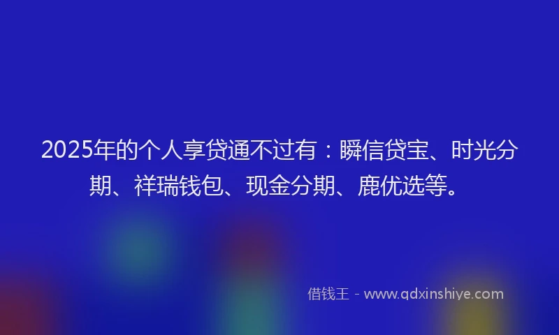 2025年的个人享贷通不过有：瞬信贷宝、时光分期、祥瑞钱包、现金分期、鹿优选等。