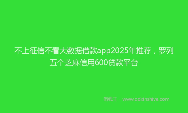 不上征信不看大数据借款app2025年推荐，罗列五个芝麻信用600贷款平台