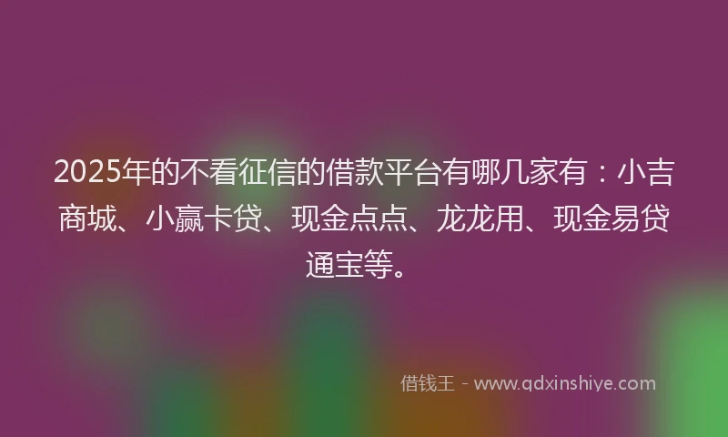 2025年的不看征信的借款平台有哪几家有：小吉商城、小赢卡贷、现金点点、龙龙用、现金易贷通宝等。