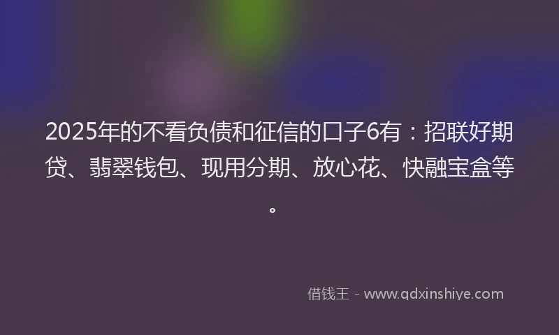 2025年的不看负债和征信的口子6有：招联好期贷、翡翠钱包、现用分期、放心花、快融宝盒等。