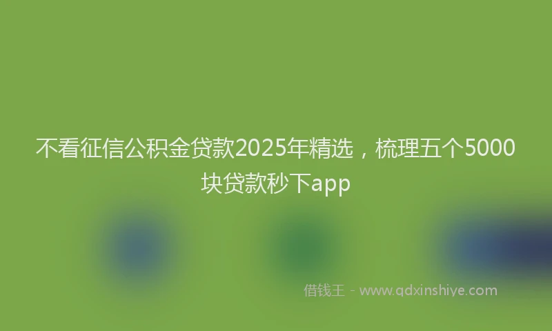 不看征信公积金贷款2025年精选，梳理五个5000块贷款秒下app