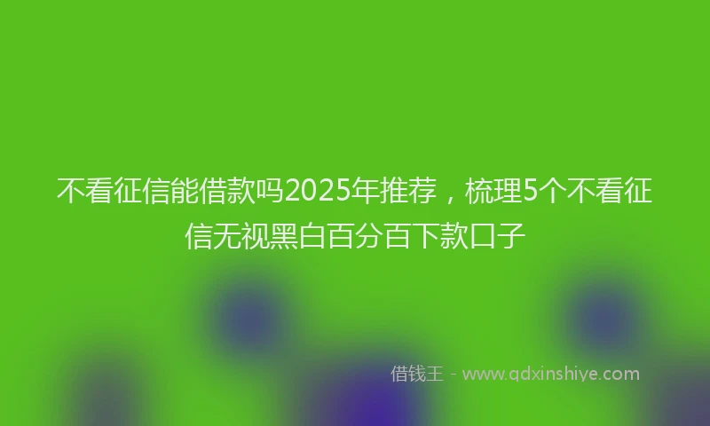 不看征信能借款吗2025年推荐，梳理5个不看征信无视黑白百分百下款口子