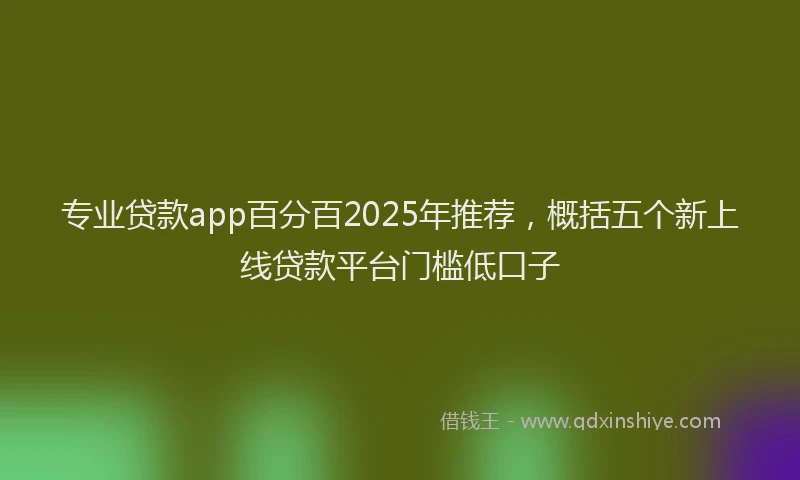 专业贷款app百分百2025年推荐，概括五个新上线贷款平台门槛低口子