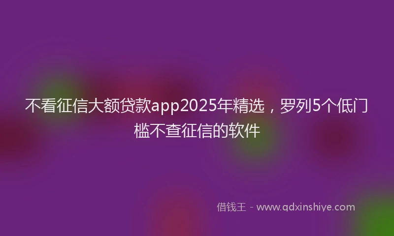 不看征信大额贷款app2025年精选，罗列5个低门槛不查征信的软件