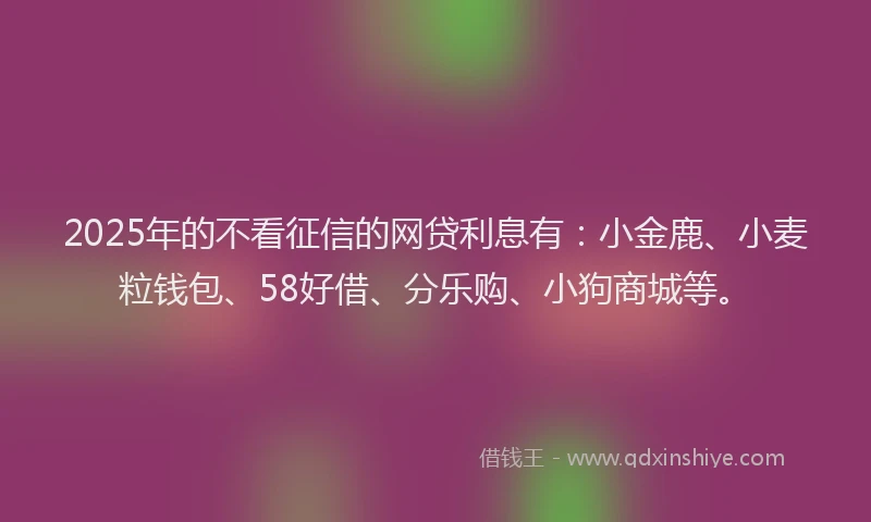2025年的不看征信的网贷利息有：小金鹿、小麦粒钱包、58好借、分乐购、小狗商城等。