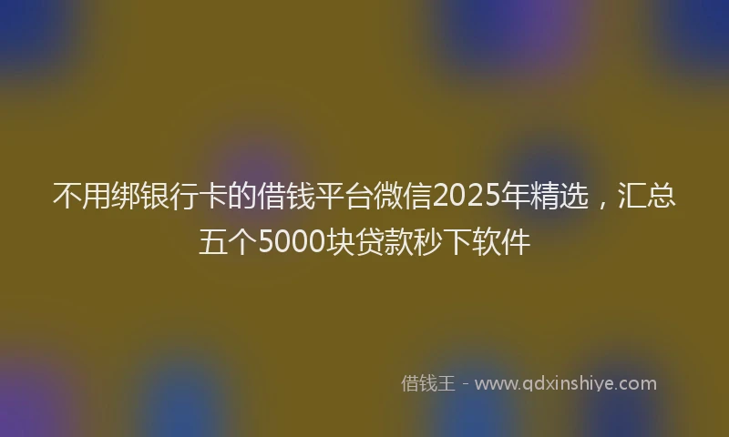 不用绑银行卡的借钱平台微信2025年精选，汇总五个5000块贷款秒下软件