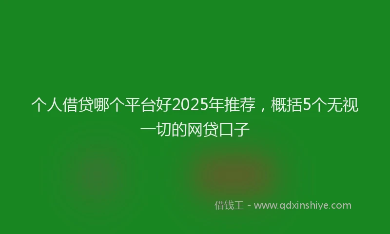 个人借贷哪个平台好2025年推荐，概括5个无视一切的网贷口子