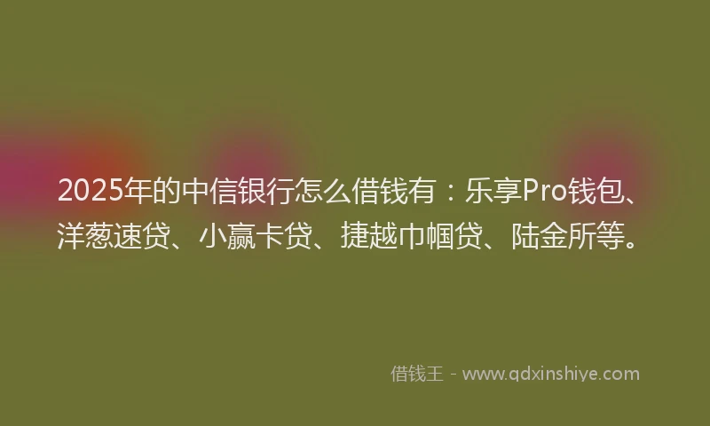 2025年的中信银行怎么借钱有：乐享Pro钱包、洋葱速贷、小赢卡贷、捷越巾帼贷、陆金所等。