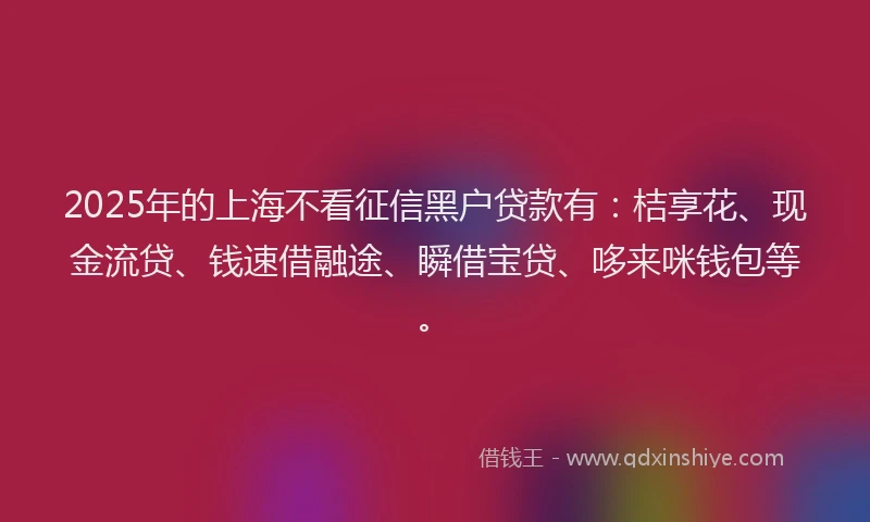2025年的上海不看征信黑户贷款有：桔享花、现金流贷、钱速借融途、瞬借宝贷、哆来咪钱包等。