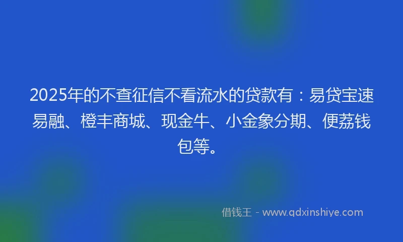 2025年的不查征信不看流水的贷款有：易贷宝速易融、橙丰商城、现金牛、小金象分期、便荔钱包等。