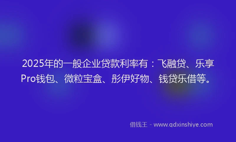 2025年的一般企业贷款利率有：飞融贷、乐享Pro钱包、微粒宝盒、彤伊好物、钱贷乐借等。