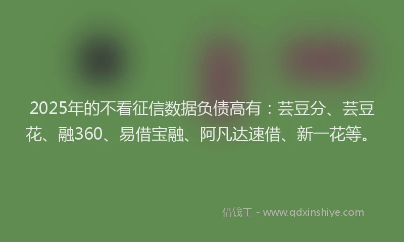 2025年的不看征信数据负债高有：芸豆分、芸豆花、融360、易借宝融、阿凡达速借、新一花等。