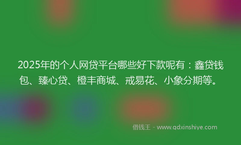 2025年的个人网贷平台哪些好下款呢有：鑫贷钱包、臻心贷、橙丰商城、戒易花、小象分期等。