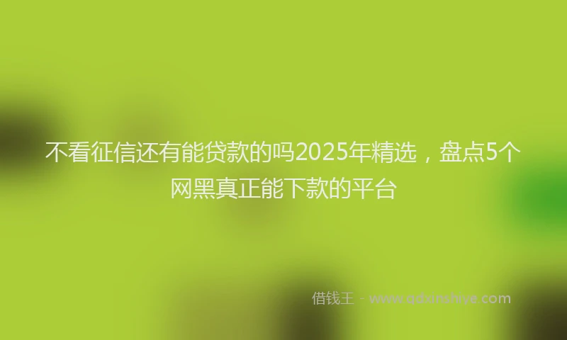 不看征信还有能贷款的吗2025年精选，盘点5个网黑真正能下款的平台