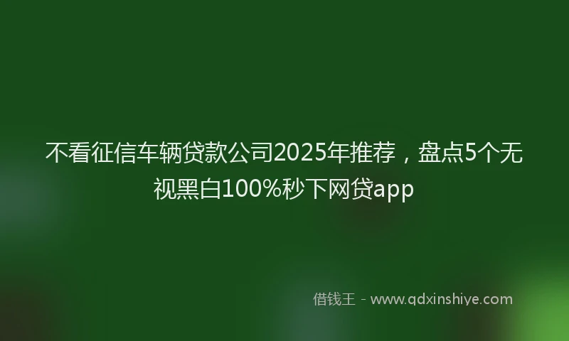 不看征信车辆贷款公司2025年推荐，盘点5个无视黑白100%秒下网贷app