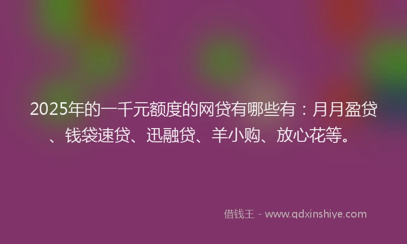 2025年的一千元额度的网贷有哪些有：月月盈贷、钱袋速贷、迅融贷、羊小购、放心花等。