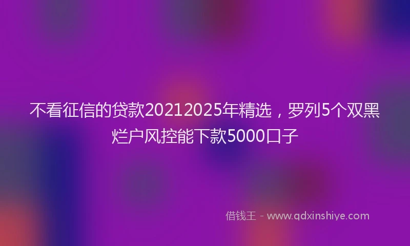 不看征信的贷款20212025年精选，罗列5个双黑烂户风控能下款5000口子