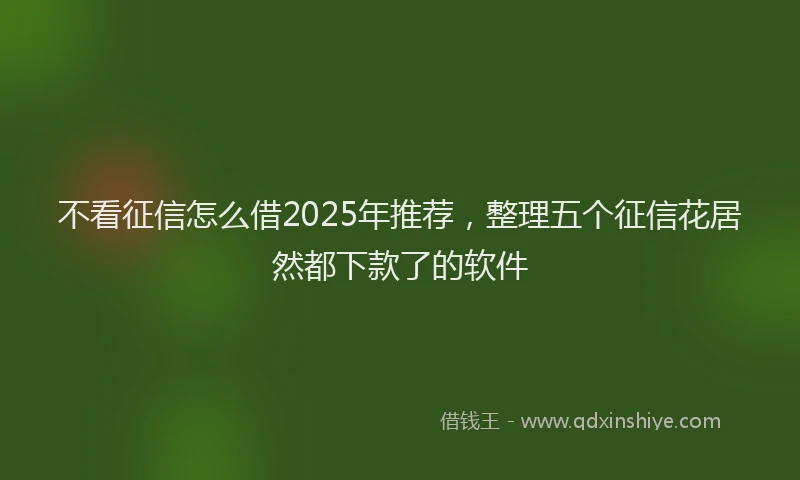 不看征信怎么借2025年推荐，整理五个征信花居然都下款了的软件