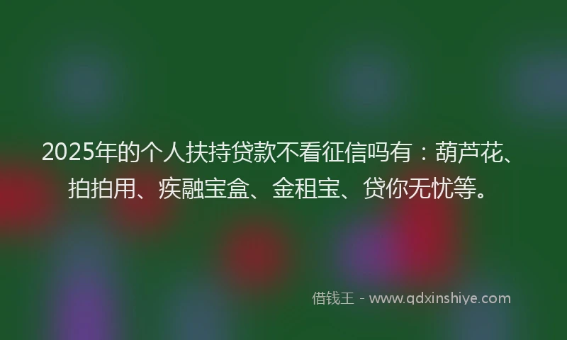 2025年的个人扶持贷款不看征信吗有：葫芦花、拍拍用、疾融宝盒、金租宝、贷你无忧等。