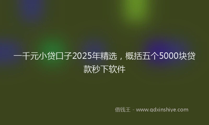 一千元小贷口子2025年精选，概括五个5000块贷款秒下软件