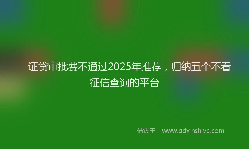 一证贷审批费不通过2025年推荐，归纳五个不看征信查询的平台